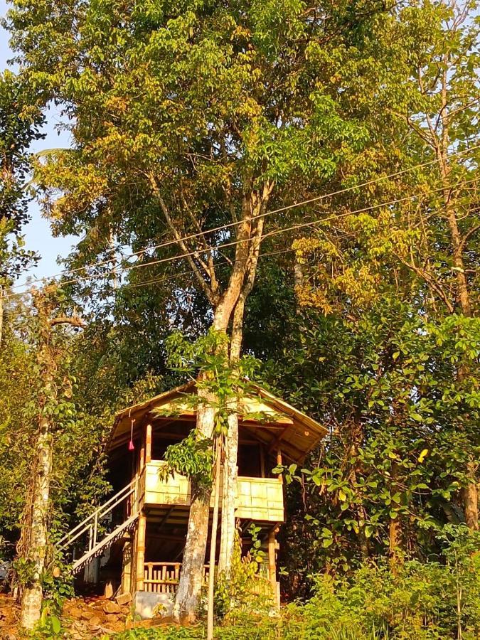 Fab - Bamboo Hut With Open Shower Munnar Exterior foto